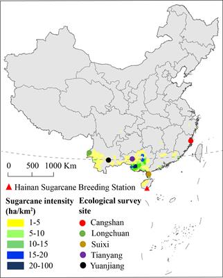 Identification of QTLs and critical genes related to sugarcane mosaic disease resistance